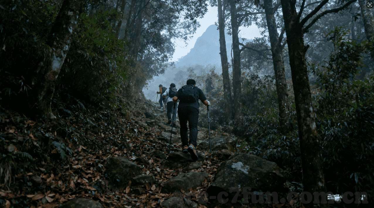皇家澳门赌场台词-皇家澳门赌场台词，探寻赌桌背后的智慧与人性