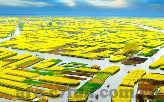 九游app怎么下载-九游App，获取与安装步骤，轻松拥有游戏世界之门